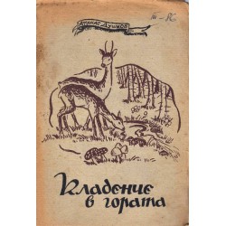 Кладенче в гората
