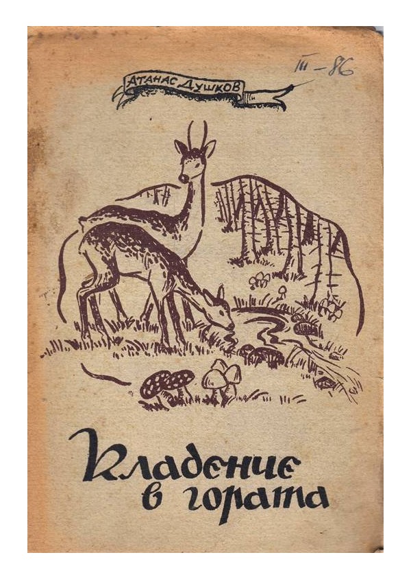 Кладенче в гората