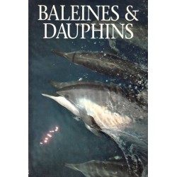 Baleines and dauphins