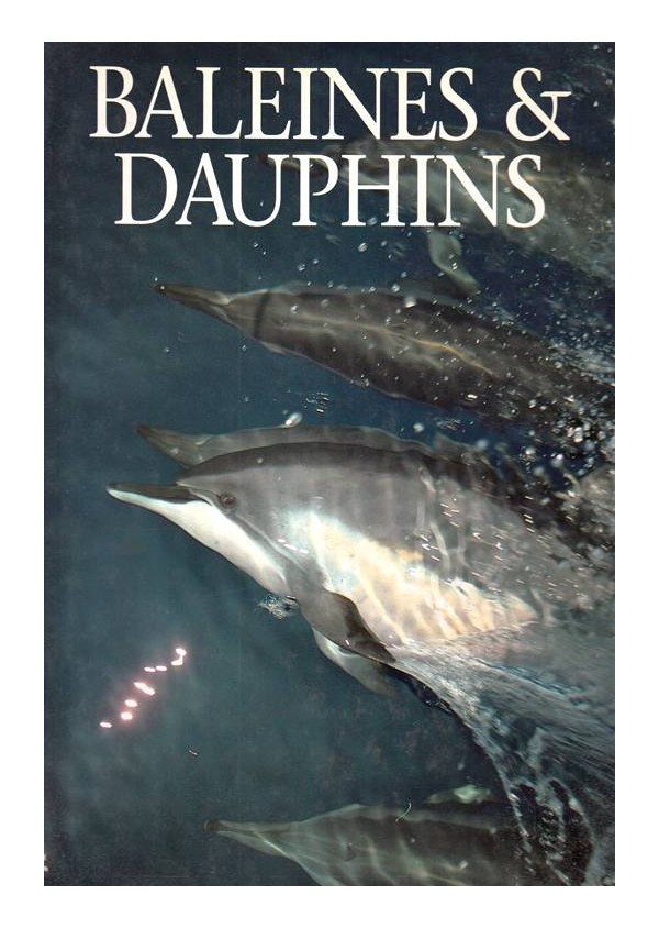 Baleines and dauphins