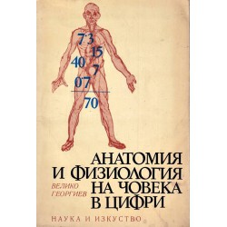 Анатомия и физиология на човека в цифри