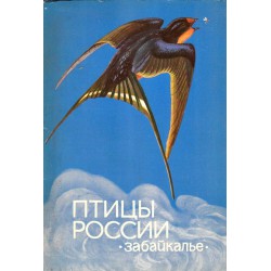 Птицы России - Забайкалье