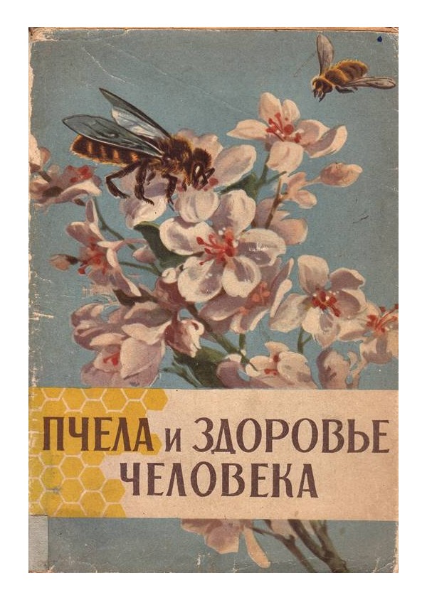 Пчела и здоровье человека