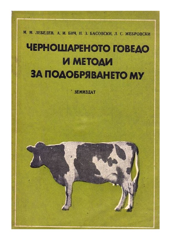 Черношарено говедо и методи за подобряването му