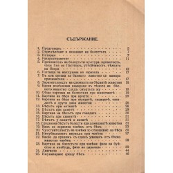 Бесът, с 21 фигури в текста 1933 г