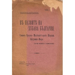 В пазвите на хубава България. Пътни бележки и размишления 1909 г (брошура)