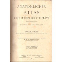 Anatomischer Atlas für Studierende und Ärzte 1911 г