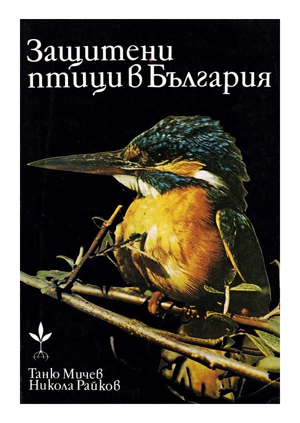 Защитени птици в България