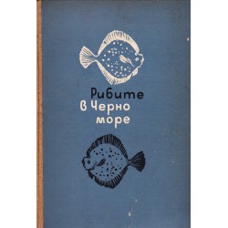 Рибите в Черно Море. Българското крайбрежие