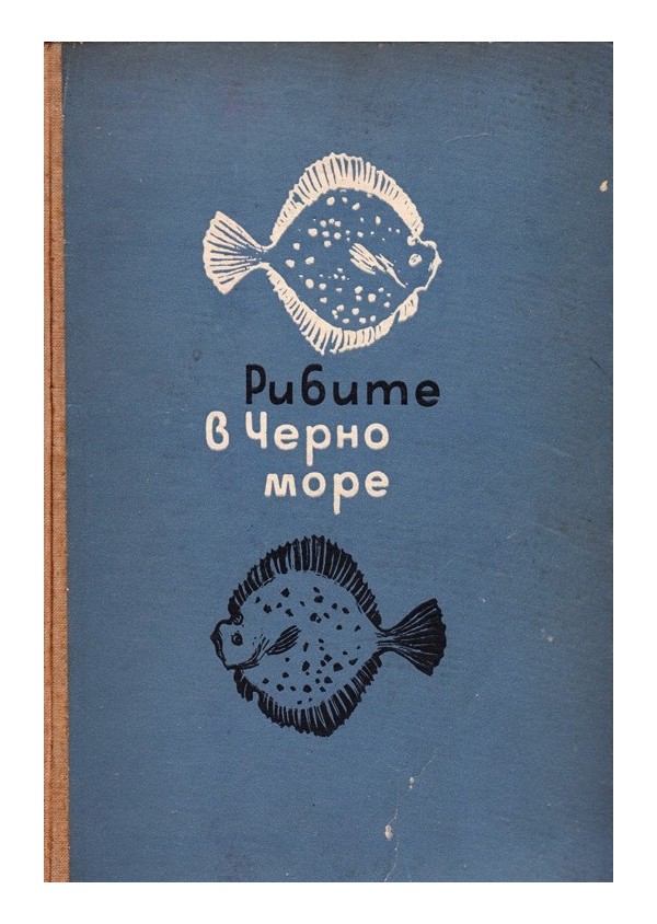 Рибите в Черно Море. Българското крайбрежие