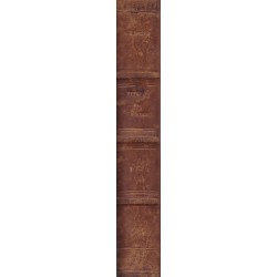 История на цивилизацията в Англия, том I и II 1894 г (първо издание)