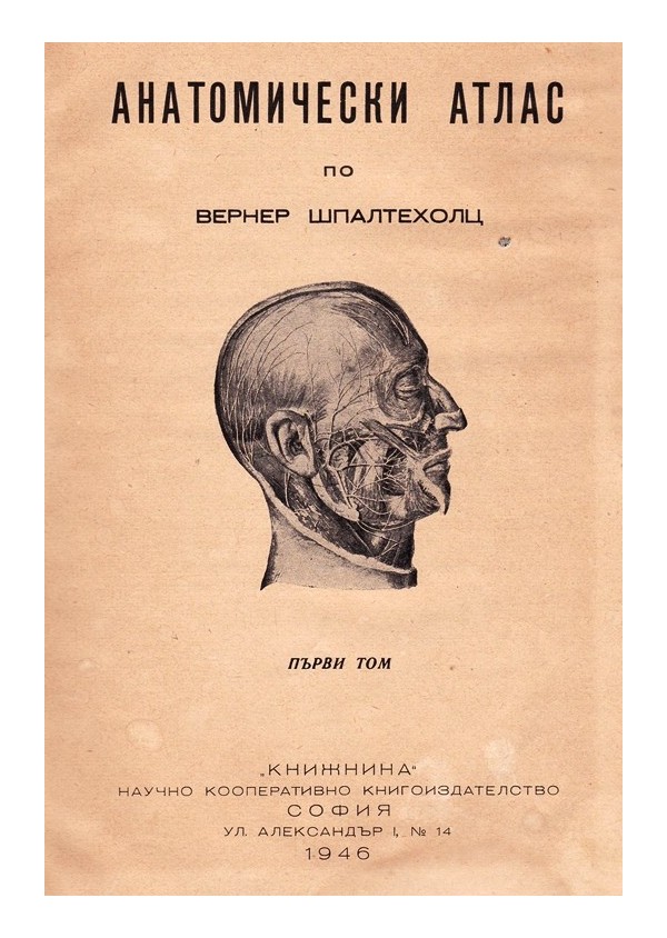 Анатомически атлас по Вернер Шпалтехолц, в два тома комплект 1946 г
