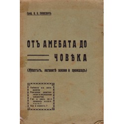 От амебата до човека 1938 г