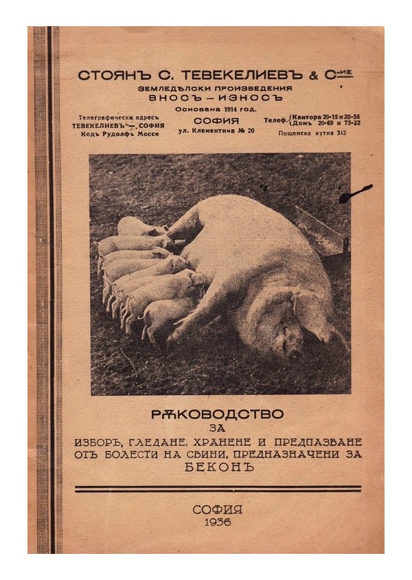 Ръководство за избор, гледане, хранене и предпазване от болести на свини, предназначени за бекон 1936 г
