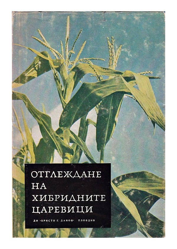 Отглеждане на хибридните царевици 1969 г