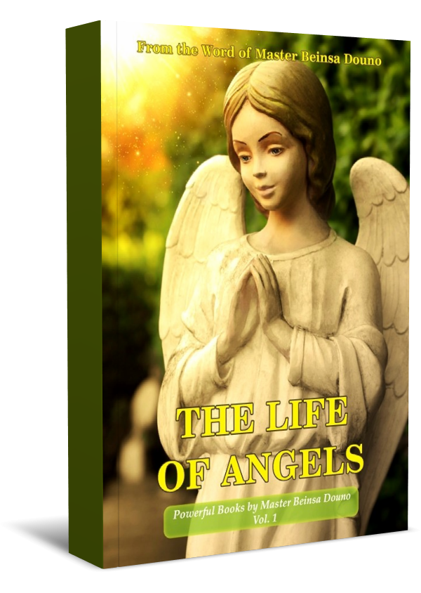 The life of angels